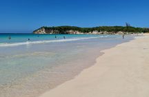From PuntaCana: Tour in buggy double With Cenote and macao beach