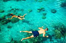 Reef Glass Bottom & Snorkel Tour