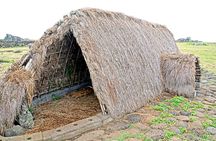Full Day Hotu Matua Tour from Vaihu to Anakena