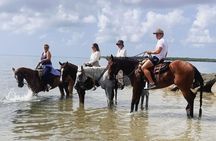 Horse Riding Tour at the Beach in Miami