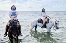 Horse Riding Tour at the Beach in Miami