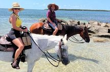 Horse Riding Tour at the Beach in Miami