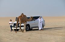 Private Desert Safari Fast Track