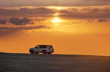 Fast Track: Sunrise to Sunset Desert Safari