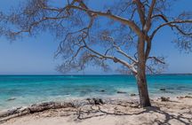 Private Boat Tour of the Rosario Islands