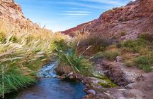 Puritama Canyon and Guatin Trekking