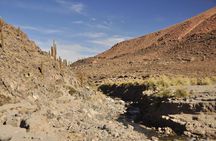 Puritama Canyon and Guatin Trekking