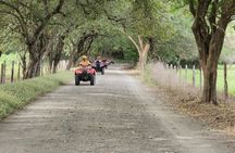 Half-Day Private Beach & ATV Adventure in Costa Rica