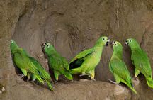 Tambopata Jungle Tour 3 Days in Amazon Garden Lodge