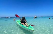 Roatan Monkeys and sloth with chocolate, Rum testing and Beach