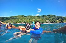 Cebu Oslob Whaleshark and Sumilon Island Full-Day Private Tour