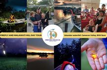 Unbelievable Firefly Kuala Selangor Day Tour
