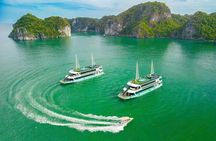 AMETHYST DAY CRUISE The Most Luxury Day Tour Explore Halong Bay