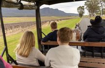  3- Hour Wine and Harvest the Hunter Horse Tour in Pokolbin