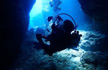 Okinawa Scuba Diving For Certified Divers (3 boat dives + Lunch)