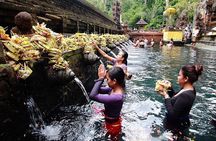 Private Tour Ubud: Swing at Rice Field with Temple and Waterfall