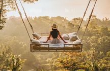 Private Tour Ubud: Swing at Rice Field with Temple and Waterfall