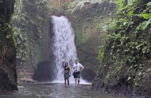 Private Tour Ubud: Swing at Rice Field with Temple and Waterfall