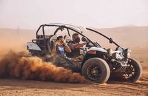 Buggy Car Safari Adventure from Marsa Alam
