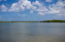 Private Buggy Tour and Punta Sur Park in Cozumel