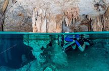 Half Day Private Snorkeling Tour in Cenotes of Tulum 