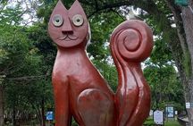 Cali private city tour