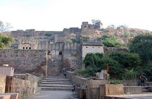 03 Days Private Ranthambore Wildlife Safari Tour From Delhi