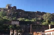 03 Days Private Ranthambore Wildlife Safari Tour From Delhi