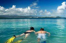 Family Fun-Snorkeling with Lunch Stop from Montego Bay
