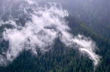 Winter Day Tour to Longmire on Mount Rainier from Seattle