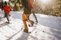 Winter Day Tour to Longmire on Mount Rainier from Seattle