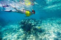 Family Fun-Snorkeling with Lunch Stop from Montego Bay