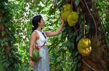 Private Half-Day Zanzibar Tour: Spice Farm & Stone Town Discovery