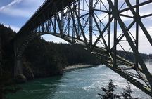 Skagit Valley Birding + Deception Pass Day Tour From Seattle 