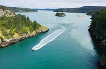 Skagit Valley Birding + Deception Pass Day Tour From Seattle 