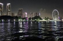 2 HR Miami Lights & Skyline Private Night Tour for up to 6 people