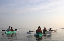 Kayak Mangroves Sunrise Experience 