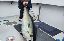 Private Big Game Fishing Charter from Tutukaka, Northland