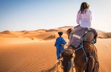Shared 2 Day & 1 Night Desert Trip From Fez Back To Fez