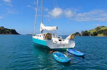 Private Yacht Charter and Island Excursions in the Bay of Islands