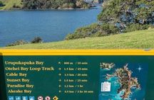 Private Yacht Charter and Island Excursions in the Bay of Islands