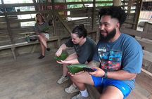 Wild, Sweet and Refreshing: A Tour of Cahuita, Bri-Bri and Ma-Cu