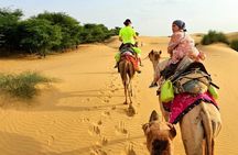 Nomadic Non-Touristic Overnight Tour & camel Safari 