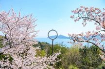 Amanohashidate & Ine Bay Day Tour with Cruise and Miyama Village