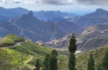 Private Excursion The mountains of Gran Canaria for 2 to 4 people