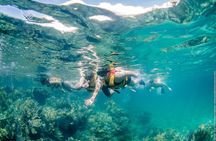 Speed Boat Tour and Snorkel Cancun
