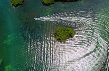 SpeeBoat Tour Whit Snorkeling In Cancún- Drive Your Own Boat