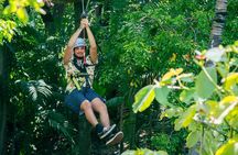 Explorer Trek - 2-hour Aerial Park Adventure in Miami