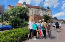 Private Krakow City Tour by Car and Walk with private tour guide