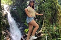 Salento, Cócora + Santa Rita Waterfall from Pereira or Armenia